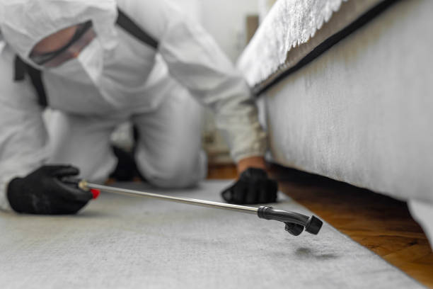 Professional Bed Bug Control technician working in Shenandoah, PA